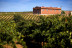 Visita a Bodega Las Encomiendas y Cata para dos (Villafranca de los Barros, Badajoz)