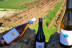 Visita Guiada y Cata de Vinos para dos en Bodega Can Morgan (Mallorca)