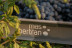 Visita a Bodega Mas Bertran con Almuerzo para dos (Sant Martí Sarroca, Barcelona)