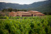 Visita a la Bodega y Cata de Vinos y Aceite en Masia Serra (Cantallops, Girona)