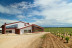 Sabores KM 0: Visita a Bodega, Cata de Vino y Menú Maridado para dos en Bosque de Matasnos (Peñaranda de Duero, Burgos)