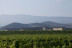 Señorío de Otazu: Visita a Bodega Otazu para dos (Otazu, Navarra)