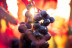 Vista a Bodega Subterránea con Cata de Vinos en Bodega Remigio Salas (Dueñas, Palencia)