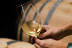 Visita a Bodega y Viñedos en 4x4 con Cata de Vino y Aperitivo para dos (Pesquera de Duero, Valladolid)