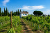 Escapada con Visita a Bodega y Cata de Vinos en Bodegas Rodríguez y Sanzo (Rueda, Valladolid)
