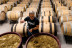 Escapada con Visita a Bodega y Cata de Vinos en Bodegas Rodríguez y Sanzo (Rueda, Valladolid)