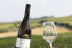 Visita a Bodega Sommos con Cata de 3 Vinos (Barbastro, Huesca)