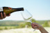 Visita a Bodega LoAlto con Cata de Vinos para dos (Venta del Moro, Valencia)