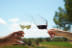Visita a Bodega LoAlto con Cata de Vinos para dos (Venta del Moro, Valencia)