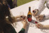 Visita a la Bodega con Degustación de Vinos y Picoteo en Linaje del Pago (El Sauzal, Tenerife)