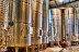 Visita a Bodega con Cata de Vinos, Tapa y Comida para dos en Bodegas Bocopa (Alicante)