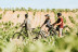 Ruta en Bicicleta y Visita a Bodega con Cata y Aperitivo para dos (La Rioja)