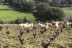 Visita a Bodegas Canopy y Cata de Vinos con Aperitivo y Spa en Hotel Beatriz Toledo Auditorium & Spa 4* para dos (Toledo)