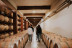 Visita a Bodegas Franco Españolas con Degustación de Vinos (Logroño, La Rioja)