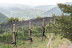 Visita a Bodegas Bal Minuta y Comida con Maridaje de 5 Vinos (Barbenuta, Huesca)