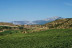 Visita a Bodega y Cata de Vinos Ecológicos y Biodinámicos para dos en Bodegas Laukote (Laguardia, Álava)