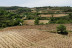 Visita a Bodega y Cata de Vinos Ecológicos y Biodinámicos para dos en Bodegas Laukote (Laguardia, Álava)