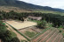 Visita a las Bodegas Los Pinos con Cata y Botella de Vino para dos (Fontanares, Valencia)