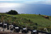Visita a las Bodegas Monje con Cata y Aperitivo para dos (El Sauzal, Tenerife)