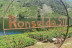 Visita a Bodega, Paseo por las Viñas, Cata de Vino y Tapa en Ronsel Do Sil (Parada do Sil, Ourense)