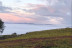 Visita a viñedos y bodegas Señorío de Rubiós con cata de vinos para dos (As Neves, Pontevedra)