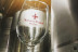 Visita a viñedos y bodegas Señorío de Rubiós con cata de vinos para dos (As Neves, Pontevedra)