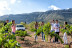Visita a Bodegas en Cellers Baronia del Montsant y Circuito Termal en Spa & Wellness Roca Vermella (Tarragona)