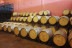 Visita a Bodegas y Viñedos Tavera con Cata de Vino para dos (Arcicóllar, Toledo)