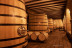 Visita a Bodegas Mocén con Cata de 3 Vinos para dos (Rueda, Valladolid)