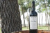 Visita a Bodegas Viña Pedrosa con Cata de Vinos para dos (Pedrosa de Duero, Burgos)
