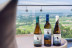 Visita Tradicional a Bodegas Vionta con Cata de Vinos para dos (Meaño, Pontevedra)