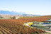 Degustación de Vino con Entrada y Visita Guiada al Museo Vivanco de la Cultura del Vino en BODEGAS VIVANCO (Briones, La Rioja)