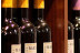 Visita a Bodega y Cata de Vinos para dos en Celler Cal Menescal (Tarragona)