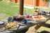 Brunch Entre Viñas: Visita a los Viñedos y Brunch en Finca Mas Perdut (Santa Oliva, Tarragona)