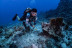 Bautismo de Buceo con Fotos y Vídeo (San Pedro del Pinatar, Murcia)