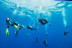 Bautismo de Buceo con Fotos y Vídeo (San Pedro del Pinatar, Murcia)