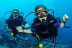 Iniciación al Buceo (Alicante)