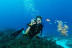 Bautismo de Buceo (Arguineguín, Gran Canaria)