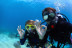 Bautismo de Buceo (Arguineguín, Gran Canaria)
