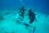 Bautismo de Buceo (Arguineguín, Gran Canaria)