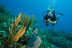 Bautismo de Buceo para dos (Tarifa, Cádiz)