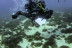 Bautismo de Buceo para dos (Tarifa, Cádiz)