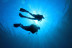 Bautizo de Buceo en la Reserva Natural Protegida de La Caleta de Adeje (Tenerife)