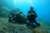 Bautizo de Buceo en la Reserva Natural Protegida de La Caleta de Adeje (Tenerife)