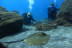 Bautizo de Buceo en la Reserva Natural Protegida de La Caleta de Adeje (Tenerife)