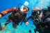 Bautizo de Buceo en la Reserva Natural Protegida de La Caleta de Adeje (Tenerife)