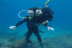 Bautizo de Buceo en la Reserva Natural Protegida de La Caleta de Adeje (Tenerife)