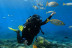 Bautismo de Buceo desde Barco en Costa Adeje (Santa Cruz de Tenerife)