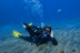 Bautismo de Buceo desde Barco en Costa Adeje (Santa Cruz de Tenerife)