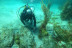 Bautismo de Buceo (Finisterre, A Coruña)